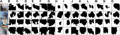 A boundary enhancement and pixel alignment based smoke segmentation network